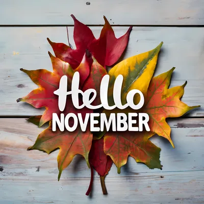 Hello November - CODIE