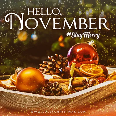 Pin by Wendy Ann on November | Hello november, Happy november, Happy  thanksgiving sign