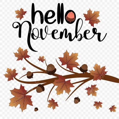 Hello November PNG Image, Hello November Greeting With Autumn Fall  Ornament, November, Greeting, Autumn PNG Image For Free Download