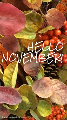 Hello November Greeting Card Autumn Cozy Stock Photo 1473026834 |  Shutterstock