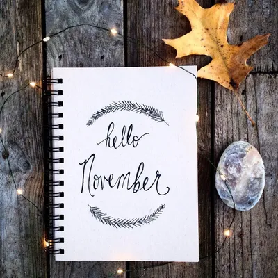 Hello November png download - 3768*3768 - Free Transparent Hello November  png Download. - CleanPNG / KissPNG