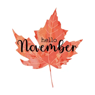 Hello November – Reflection – In My Everyday Life