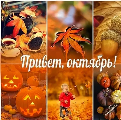 Картинки \"Привет, октябрь!\" (62 фото)