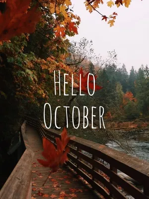 Ну привет, октябрь 🍁🍂🫶🏻 Октябрь - …» — создано в Шедевруме