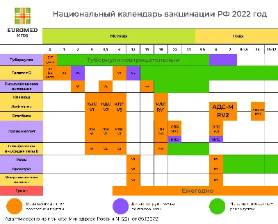 Национальный календарь профилактических прививок 2023 в России: таблица  вакцинации