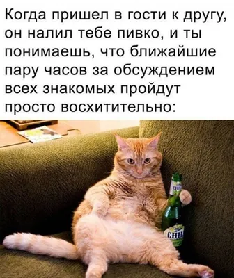 Приколы и мемы про алкоголь (15 фото) » Триникси