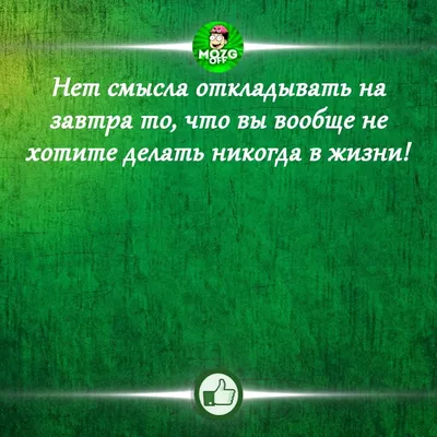 Мои Документы Москва - Сегодня отличный повод поздравить своих близких –  День бабушек и дедушек! ❤ В этот день есть традиция дарить комнатные  растения. 🌿 Выбирайте цветы со смыслом! Например, гибискус –