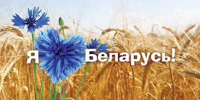 Отдых в Белоруссии. Все, что нужно знать о Беларуси: климат, курорты,  кухня, виза