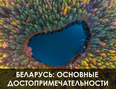 Неиссякаемое богатство. Топ-10 самых интересных рек Беларуси | Планета  Беларусь