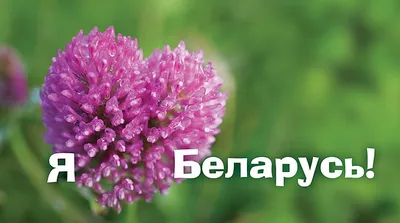 BELARUS. One day in life - YouTube