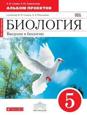 Пасечник, Биология, 9 кл, Введение В Общую Биологию, Методика, Вертикаль  (Фгос) - купить в Юмаркет, цена на Мегамаркет