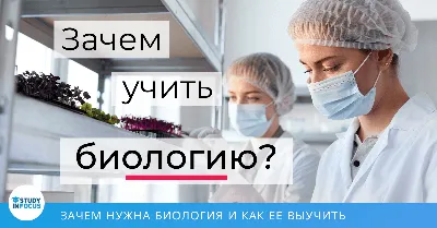 Книга для учителя Введ. в биологию 5 кл. Текущий и итог. контроль.  Контр.-измер. материалы - купить педагогической диагностики в  интернет-магазинах, цены на Мегамаркет |