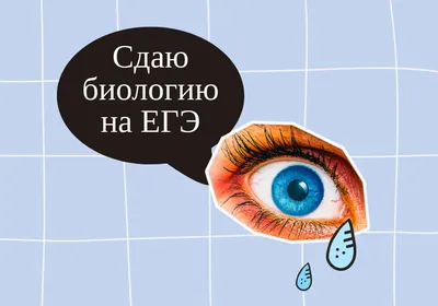 Почему я люблю биологию? Мои 5 причин ⋆ MAXIMUM Блог