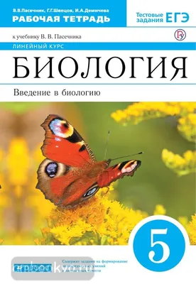 Все, что нужно, чтобы понять физику, химию и биологию, в одном толстом  конспекте - Vilki Books