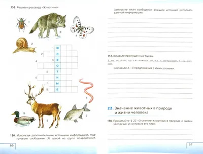 Иллюстрация 7 из 7 для Биология. 9 класс. Введение в общую биологию.  Диагностические работы к учебнику В.В. Пасечника и др. - Пасечник, Швецов |  Лабиринт - книги. Источник: Босова Юлия Игоревна