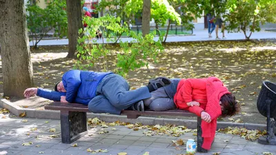 Бомж из Краснодара попросил мэра Наумова не плодить бездомных и заняться  долгостроями