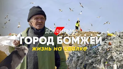Сколько получают бомжи в Казахстане — Новости Шымкента