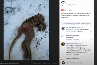 В Татарстане винят в массовой гибели кур чупакабру