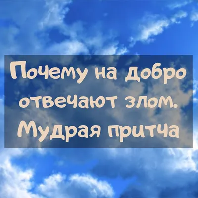 Добро.ру — главный информационный портал волонтеров России | ВКонтакте