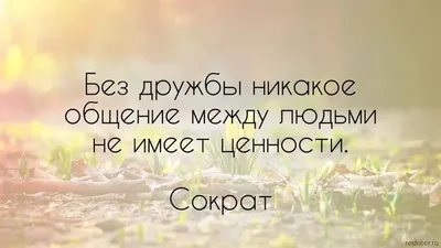 Как определить настоящую дружбу? - О чем гласит мудрая еврейская пословица  | Мудрая Тереза | Дзен