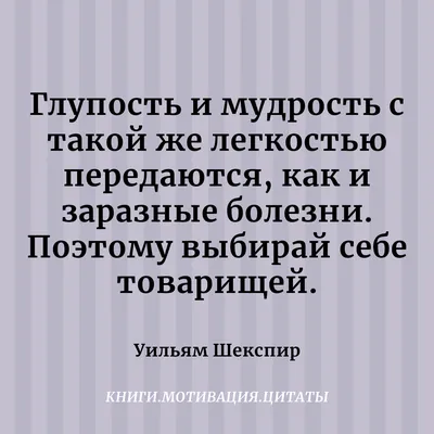 Человеческая глупость не знает границ. 3 высказывания известных людей. |  Книги. Мотивация. Цитаты | Дзен