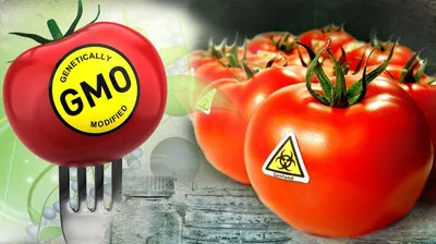 Правда о ГМО