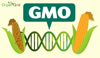 Содержание ГМО | УкрСпецАгроПродукт