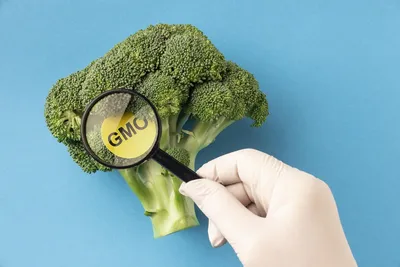 Исследование на наличие ГМО: сущность методики - лаборатория Веста