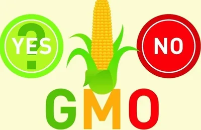 Мировая истерия: ГМО или не ГМО? - AgroPortal.ua