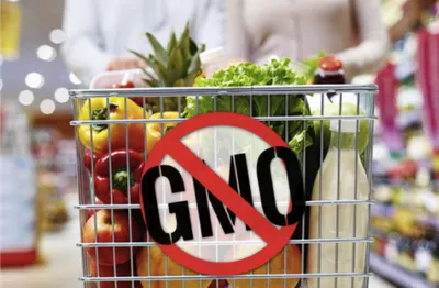Что нужно знать о ГМО