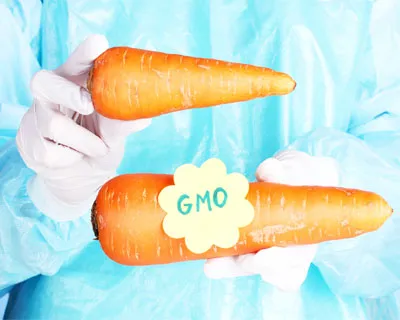 Розовые ананасы, чёрные помидоры и прочие ГМО. Так ли страшны генетически  модифицированные организмы?