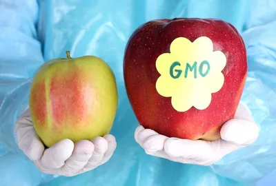 Мы едим ГМО каждый день». Успокоит ли противников найденное в продуктах  «природное ГМО»? - Газета.Ru