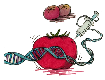 ГМО | «Биомолекула»