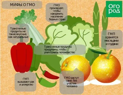 Продавцам продуктов с ГМО без соответствующей маркировки грозит штраф до  150 тысяч рублей