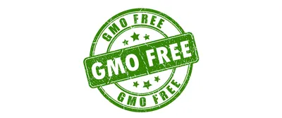 ГМО: что это, в каких продуктах, плюсы и минусы | РБК Тренды