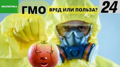 ГМО — это угроза для здоровья: миф или правда? Что это за зверь такой? -  МЕТА