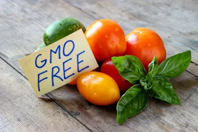 Почему важна этикетка ГМО?