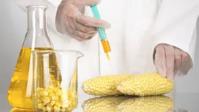 Продукты без ГМО: список продуктов | как отличить свежие продукты