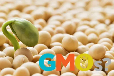 Картинки ГМО продукты (88 фото)