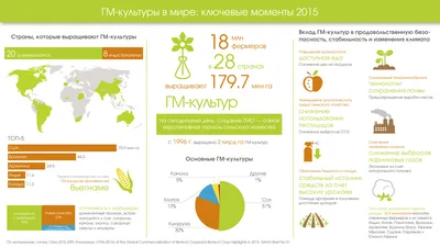 ГМО в Украине: запретить нельзя использовать — Latifundist.com