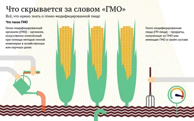 Риски потребления и использования ГМО - лаборатория Веста