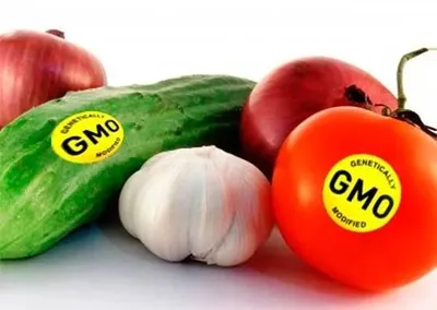 ГМО в продуктах - Новости - Новости, объявления - Здравоохранение -  Социальная сфера - Городской округ Верхотурский