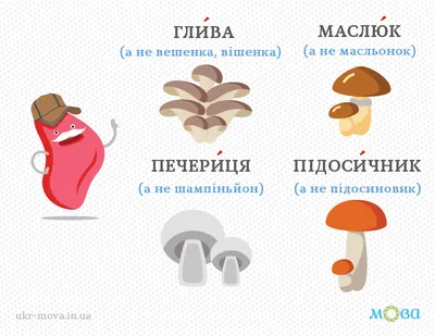 Плакат «Їстівні та отруйні гриби» | Видавництво «Підручники і посібники»