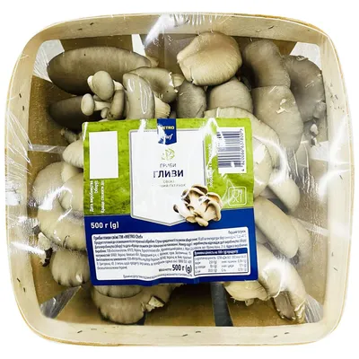 Які гриби їстівні, а які отруйні та перша допомога при отруєнні |  Знам'янка.City