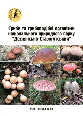 Лісові гриби і печериці корисні для організму - Bonduelle