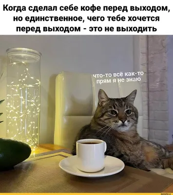 8 цитат о кофе от Lingvistov | Пикабу