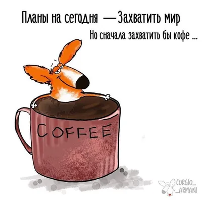 Пин от пользователя Наталья на доске Я люблю кофе | Мемы, Веселые мемы,  Смешные мемы