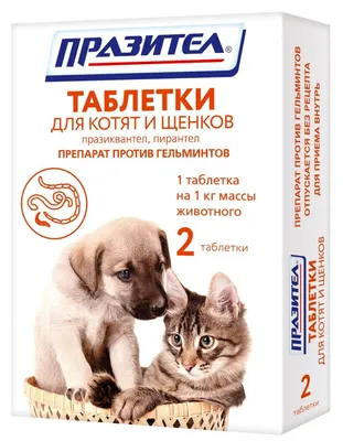 Apicenna Дирофен 120 мг антигельминтный препарат для котят и щенков - 6  таблеток - купить в Москве | КотМатрос