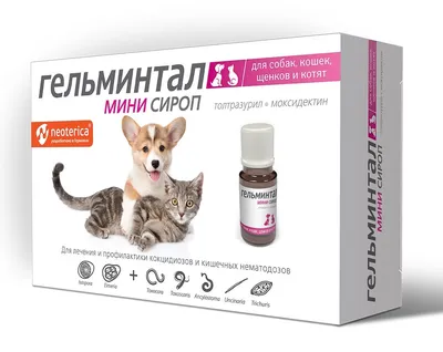Купить Apicenna Шампунь для котят и щенков Дана - доставка, цена и наличие  в интернет-магазине и аптеках Доктор Вет