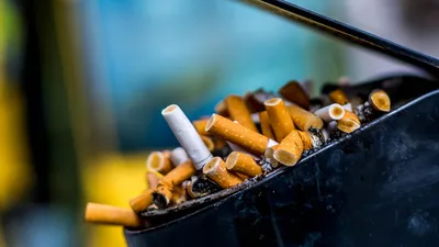 Какие новые ограничения ждут курильщиков в этом году